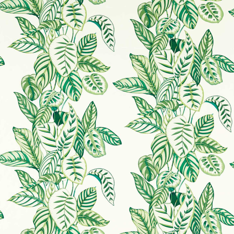 Calathea Fabric