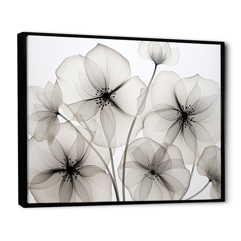 «Black and White Morning Glory Speed - Morning Glory», reproduction d'art sur toile, Cadre flottant noir