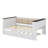 Twin-Size Daybed With Storage Shelves, Upholstered Backrest, USB Port, And Trundle-480993658
