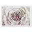 «Winter New York Flower», reproduction d'impression-252315094-252315093
