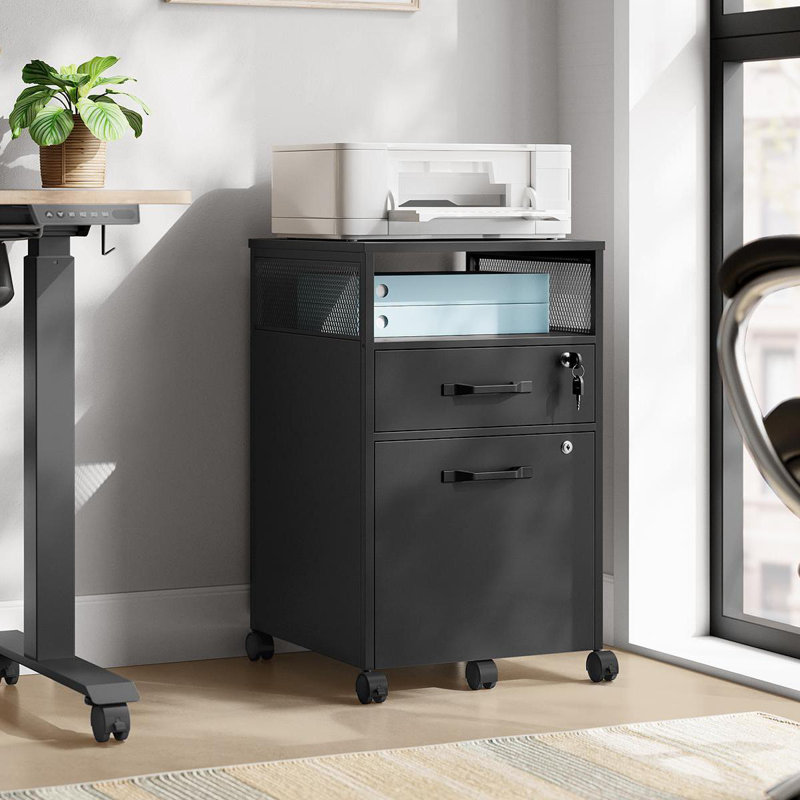 16.5'' Wide 2 -Drawer Mobile File Cabinet, Ink Black