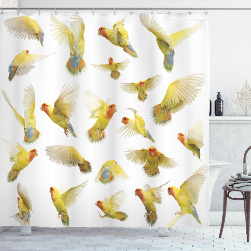 Ensemble de rideau de douche et crochets à oiseaux, H 70 po x l 69 po