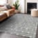  Maliana Area Rug