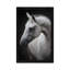 Maggie by Avishai Avivi - Floater Frame Rectangle Print on Canvas-1950392591-1943670757