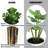 71 " H Faux Fiddle Leaf Fig Tree in Plastic Planter