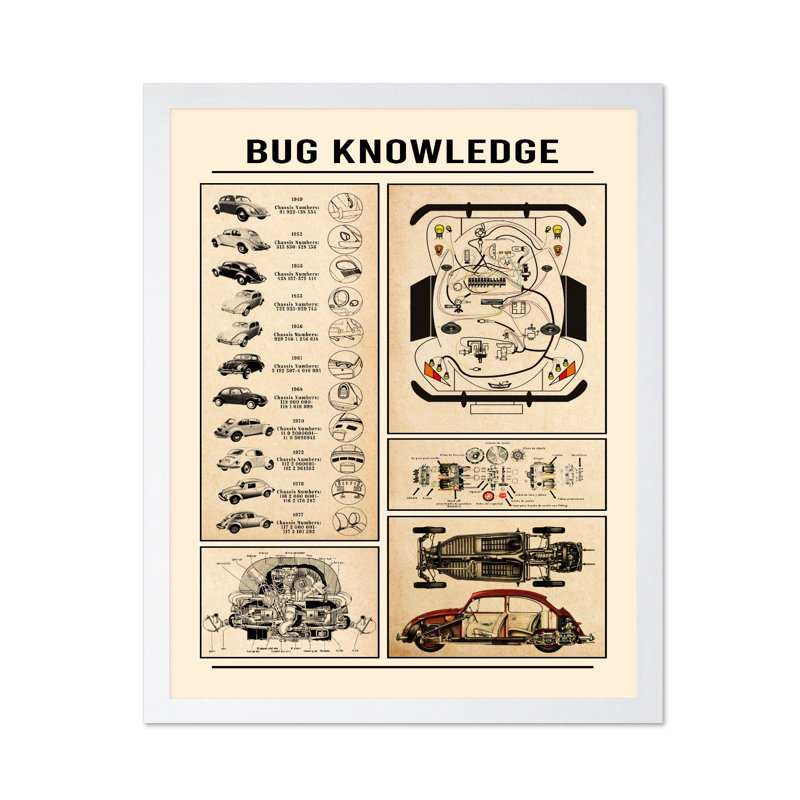 Connaissance des insectes, Affiche, H 24 po x l 32 po, Encadrement blanc