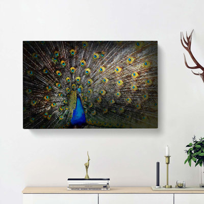 Peacock With Outstretched Feathers - Wrapped Canvas Print