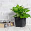 Pot de plante de jardin 6,3 "carré - pots de jardin en plastique avec drainage (paquet de 5)-1986842693