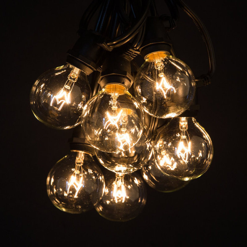 Outdoor 80 - Bulb 100'' Plug-in Globe String Light, Black