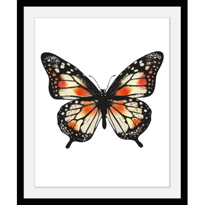 Butterfly - Single Picture Frame Print