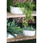 Ensemble de pots à fleurs en grès 3 pièces Sosa-30690044