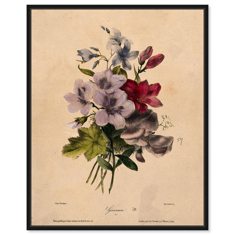 Toile Elisa's Blooms par Art Remedy, Noir, H 21 po x l 17 po, Floater Frame