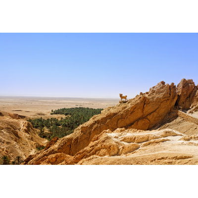 Quinnwood Mountain Oasis Chebika - Wrapped Canvas Print