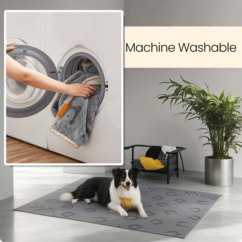 Couvertures pour chien
