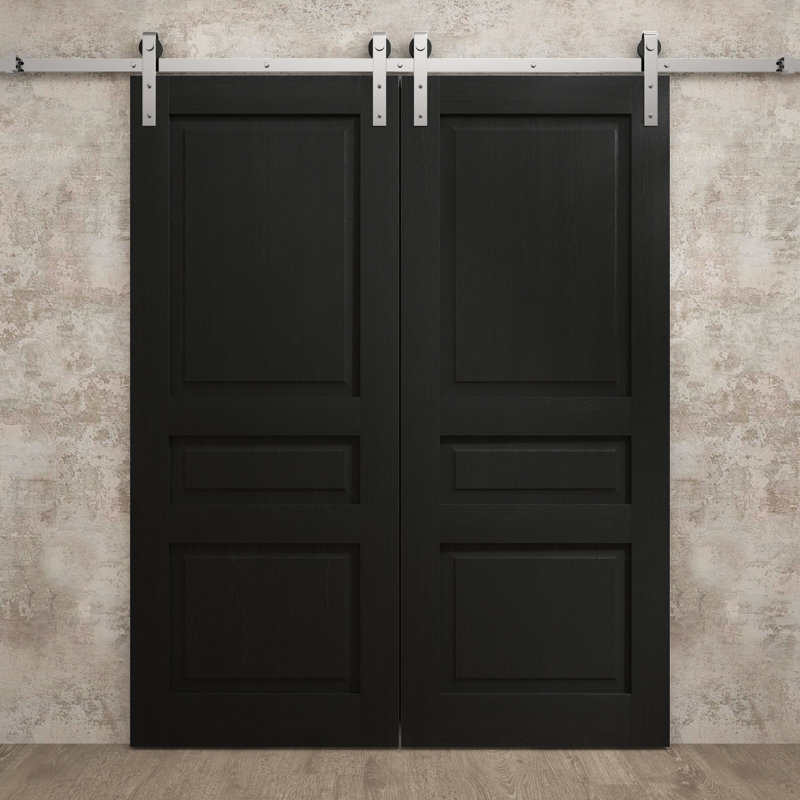 Porte de grange double moderne | Ego 5012 | Ensemble de rail argenté | Portes intérieures solides, Chêne noir peint