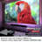 EliteProjector Home Theatre Projector 1500 Lumens Portable Projector with Remote Included