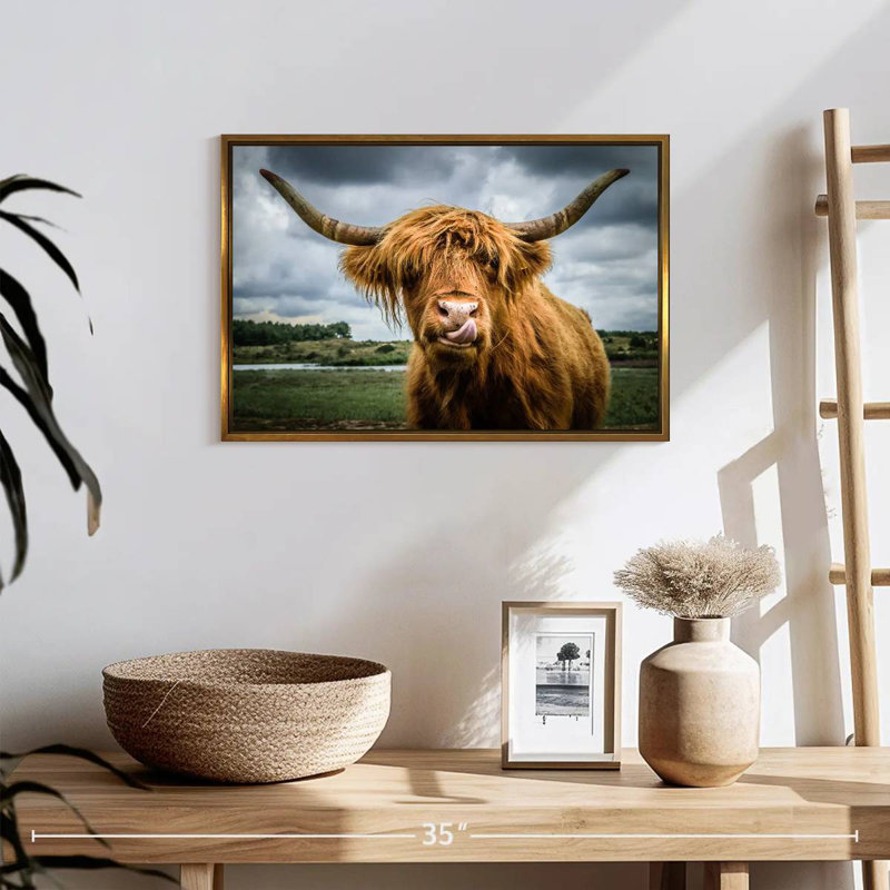 Silly Highland Cow, Cadre flottant doré, 19 po x 13 po