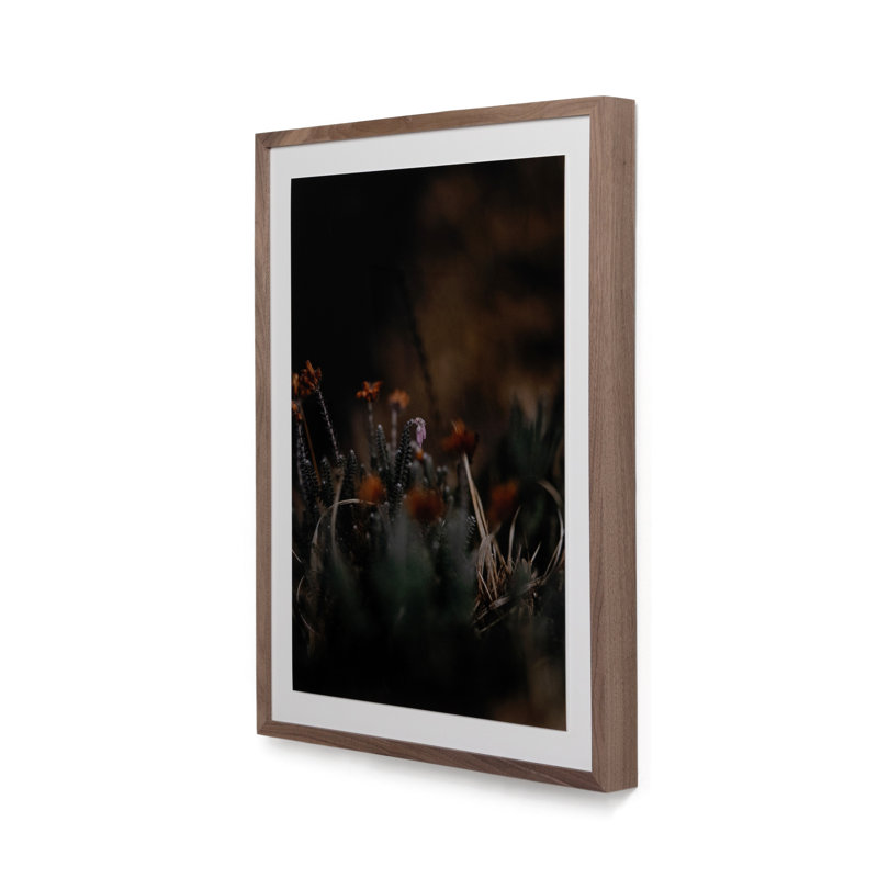 First Bloom Print by Annie Spratt, 32" H x 24" W x 2.5" D