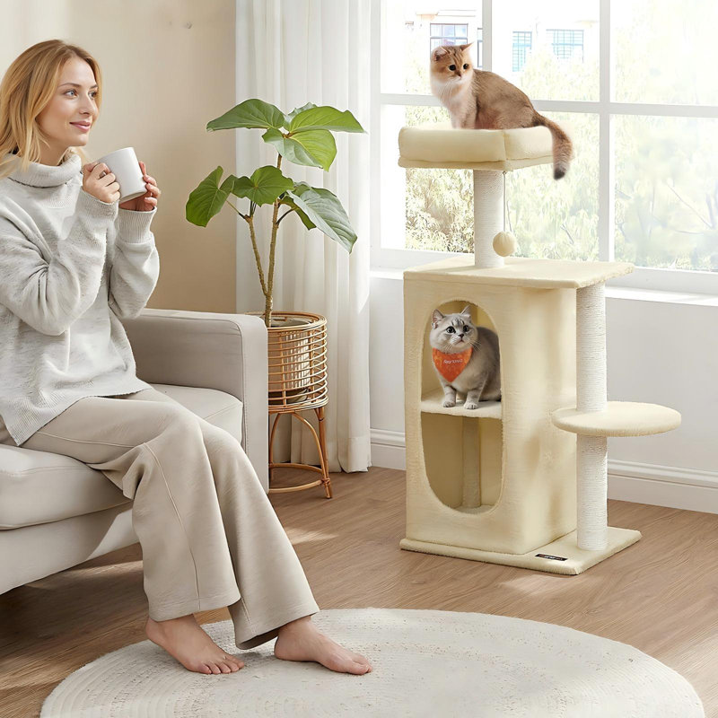 Petite tour d'arbre à chat avec 2 grottes pour les chats, les chatons et les poteaux à griffer, Beige sable