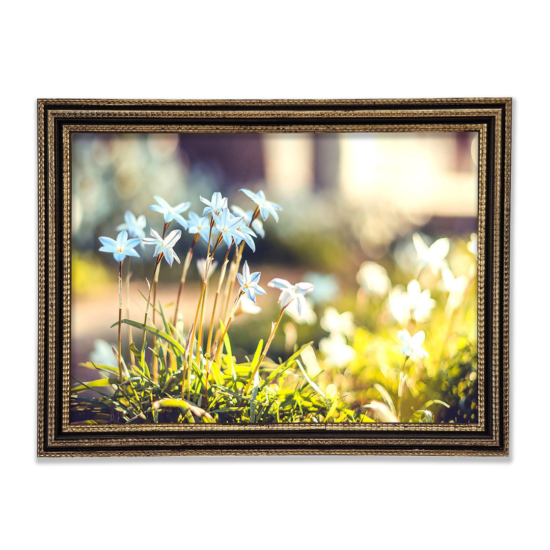 Soft Blue Garden Flowers Gerahmter Druck