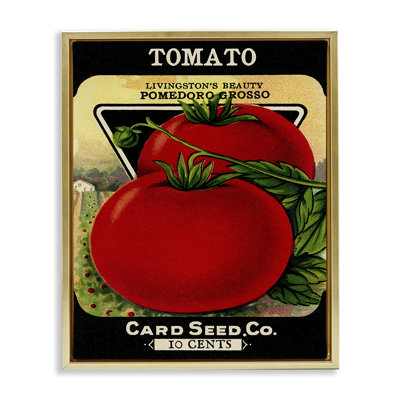 Vintage Garden Tomato Floating Frame, design by Lil' Rue