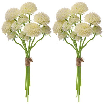 Ensemble de 14 po Scabiosa