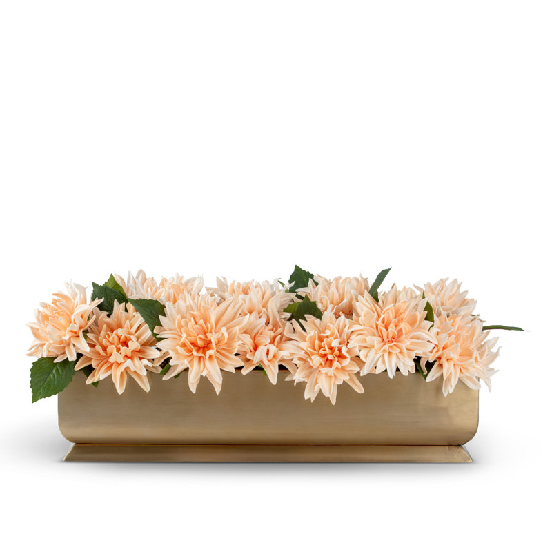 Auge dorée Carlotta RealTouch Dahlia, Peach