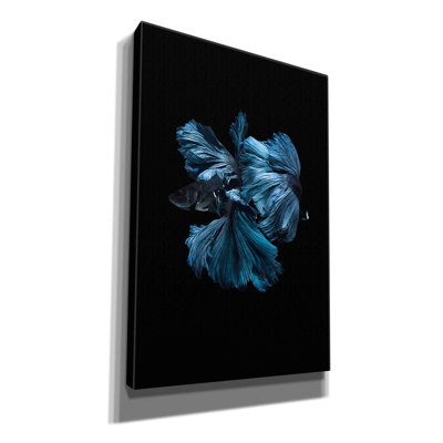 " Blue Betta " by Incado