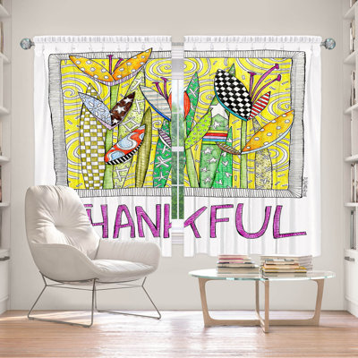 Andillac Room Darkening Curtain Pair