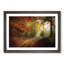 Autumn Forest - Framed Print-55456834-55456837