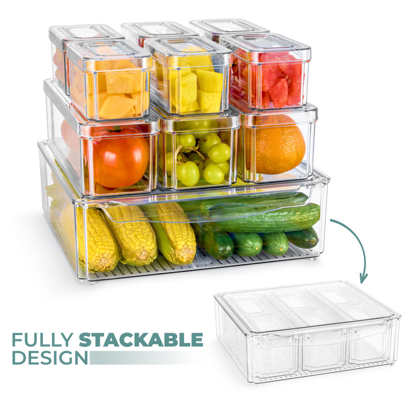  Refrigerator Storage Bins with Lids 10 Pack