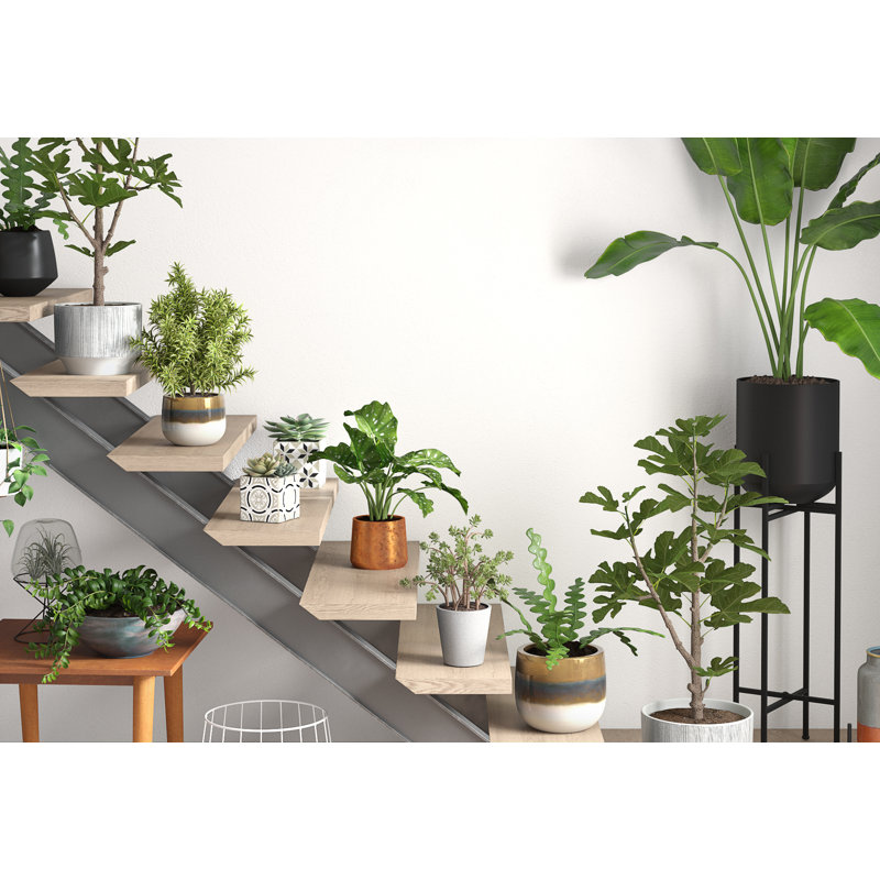 Haven Pot Planter, Terra Cotta, 3.5" H x 10" W x 10" D