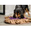 Tapis de jeu Pb & j Snuffle