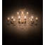 Windsor 14 - Light Chandelier
