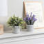 2 - Piece Artificial Plant Set