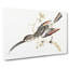 Hummingbird by Johan Teyler - Wrapped Canvas-55360079
