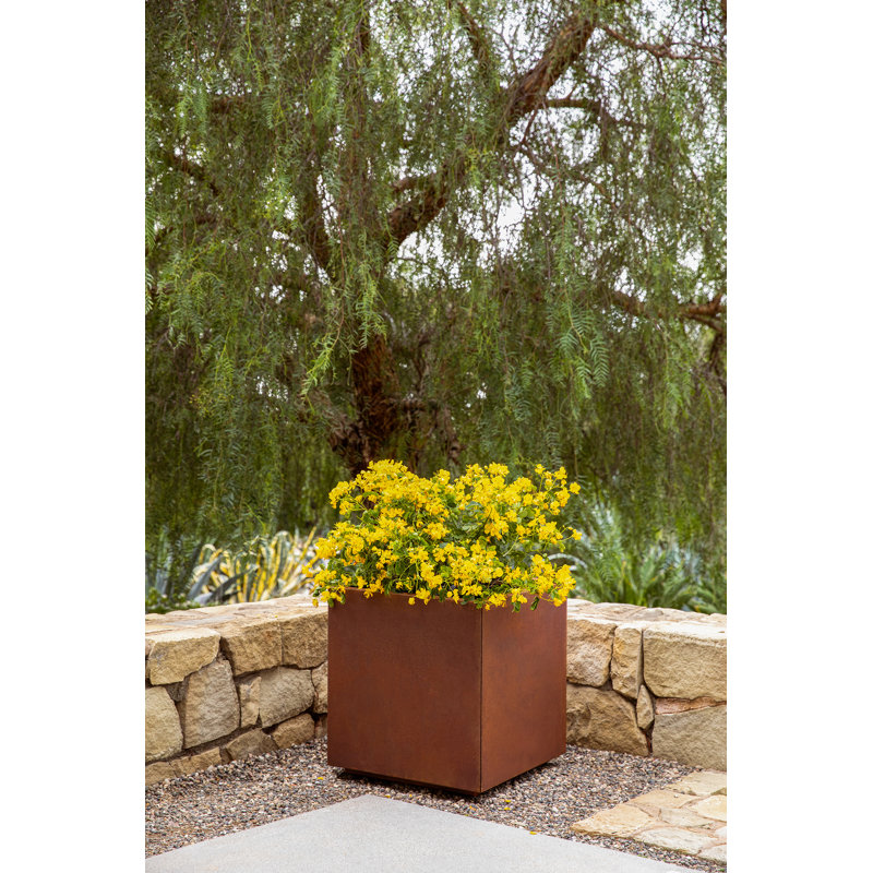 Corten Steel Series Cube Planter Box, 22" H x 21" W x 21" D