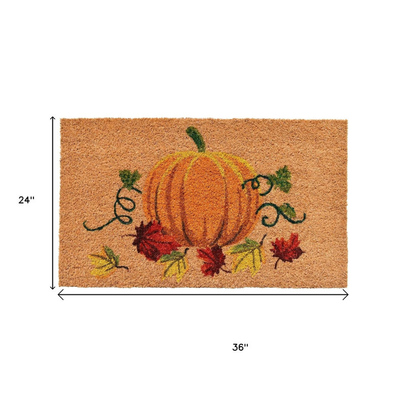 Paillasson d'extérieur 24 po x 36 po Coir