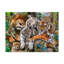 Grand chat-imprimé sur toile tendue-26853894