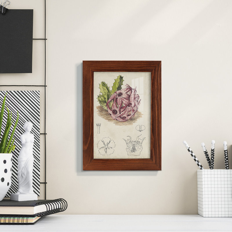 Cactus antique III, impression sur papier, H 6 po x l 4 po x P 1 po, Châtaigne