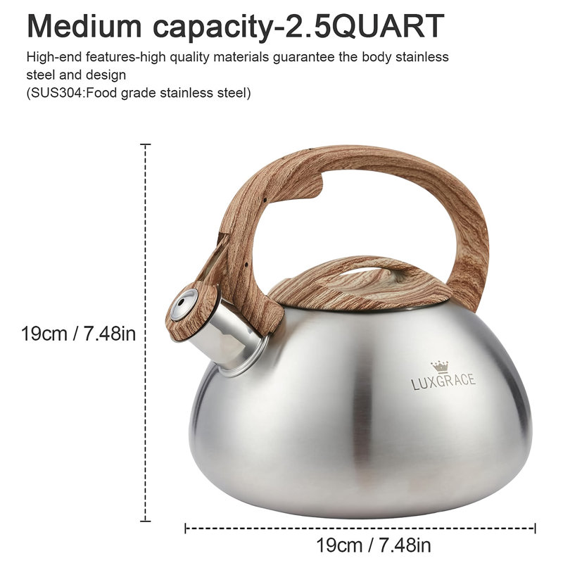 Intexca 2.5 Quarts Stovetop Tea Kettle