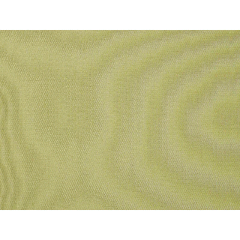 Lenny Green Square Throw Cushion