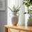 Tiyler Black Weathered Jug With Handles-514467338-514467329