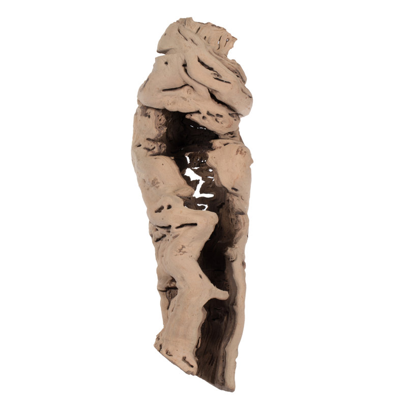 Vickerman 20-24" Split Grapewood Urns Sand Blasted, Dried