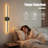 Dimmable Wall Sconce Rechargeable Black Fixture with Remote and Touch Control for Mirror Painting Bedroom Living Room-1543298705