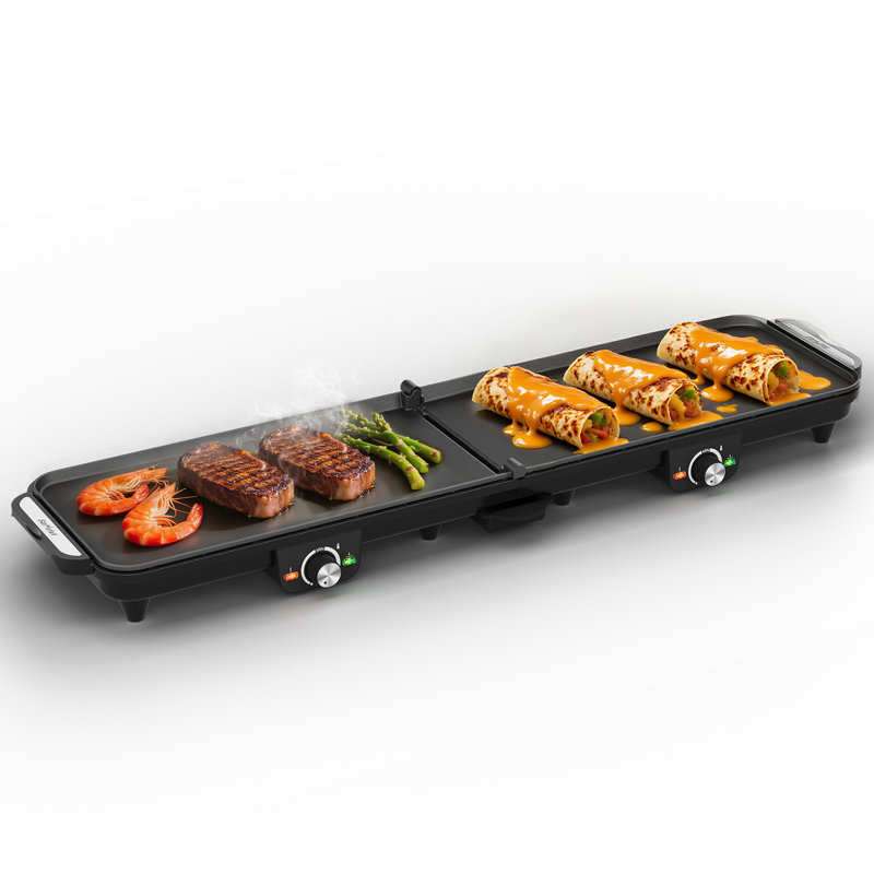 Plaque chauffante électrique de 1 600 W avec 2 zones de cuisson