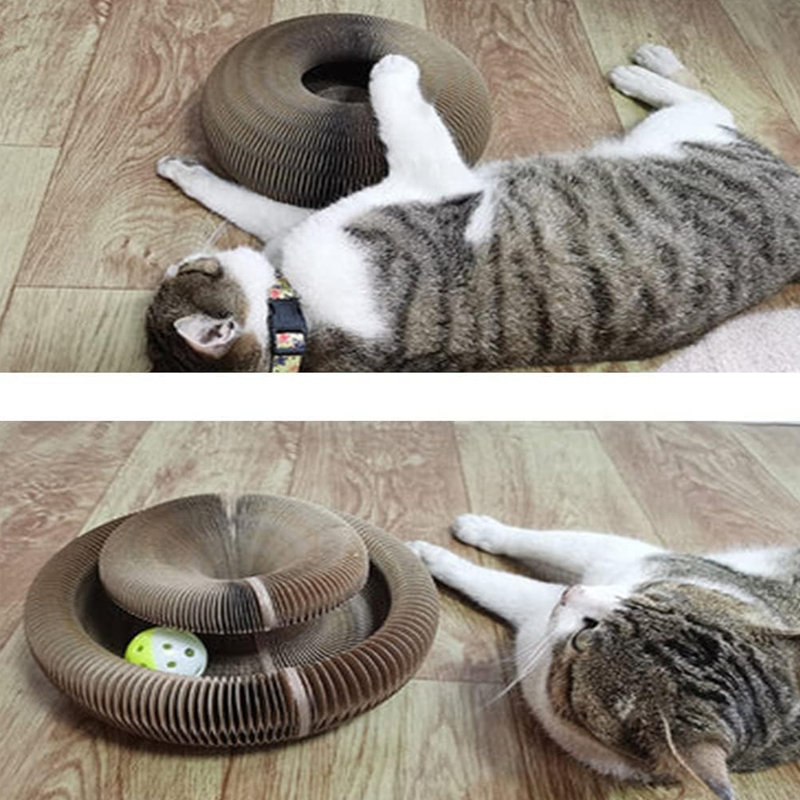 Elijahwon Scratching Post