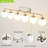 Brackenley 6 - Light Dimmable Vanity Light With Hand Blown Glass Globe Shade-346933143-339236625