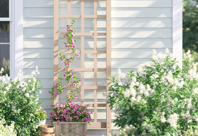 Trellises You'll Love