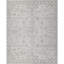 Mountmellick Oriental Handwoven Recycled P.E.T. Indoor / Outdoor Area Rug in Driftwood-500148792